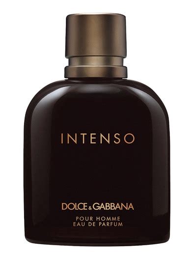 dolce gabbana intenso precio|dolce and gabbana oceania.